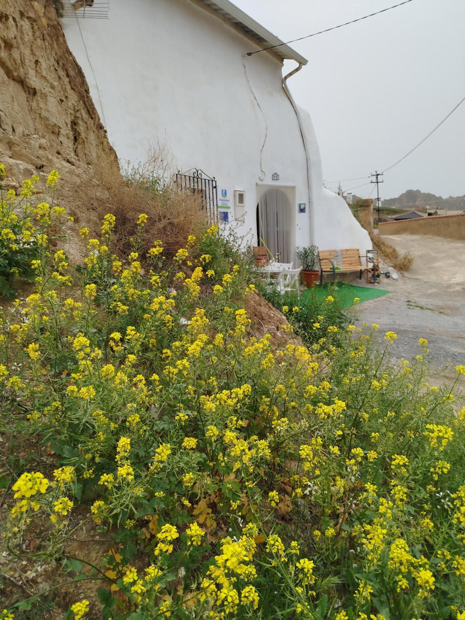 Cueva La Loli Guadix Exterior foto